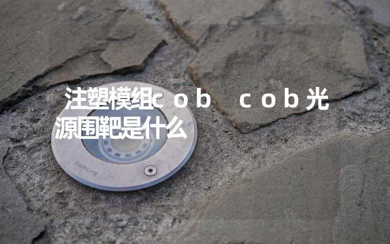 注塑模组cob cob光源围靶是什么